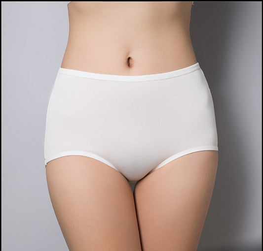 Organic Period Underwear 